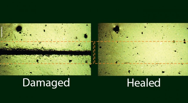 Self-Healing Materials? 3